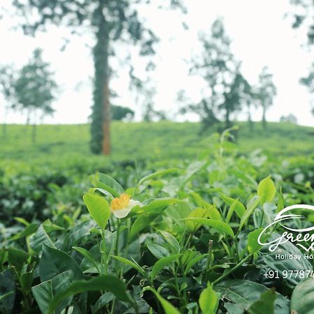 Green View Holiday Home Vythiri Luaran gambar