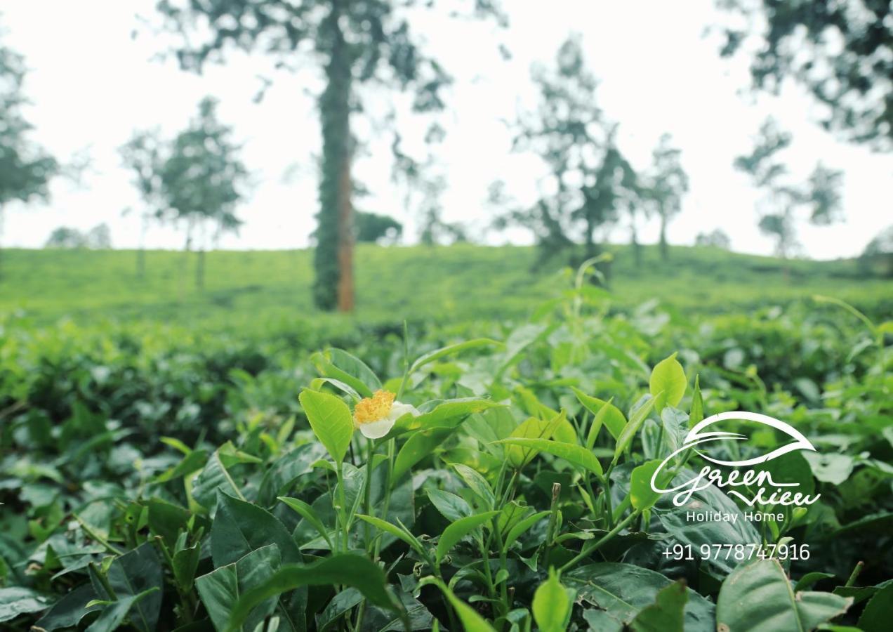 Green View Holiday Home Vythiri Luaran gambar