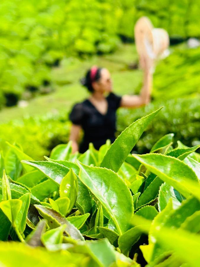 Green View Holiday Home Vythiri Luaran gambar