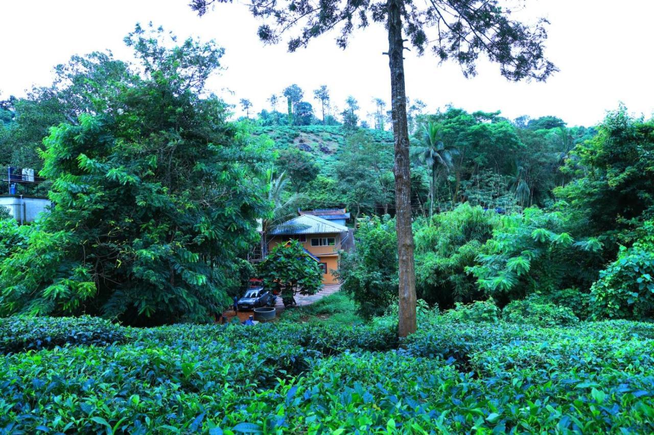Green View Holiday Home Vythiri Luaran gambar