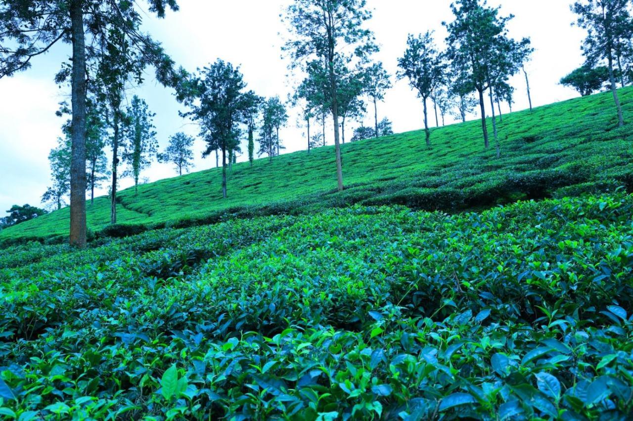 Green View Holiday Home Vythiri Luaran gambar