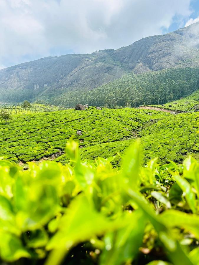 Green View Holiday Home Vythiri Luaran gambar