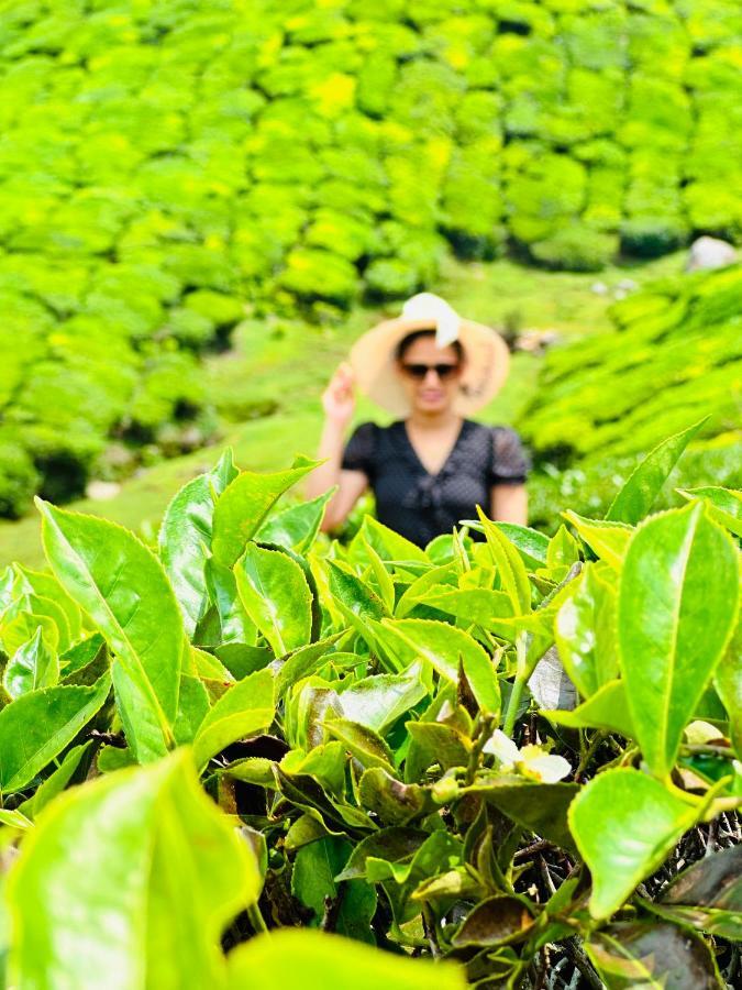 Green View Holiday Home Vythiri Luaran gambar